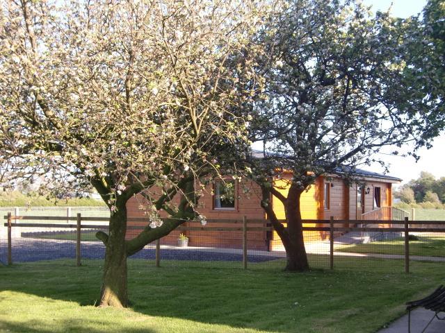 Chestnut Lodge Pilling Εξωτερικό φωτογραφία